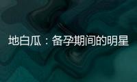 地白瓜：備孕期間的明星食材與健康秘籍