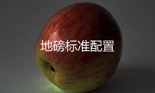 地磅標(biāo)準(zhǔn)配置