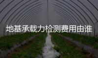 地基承載力檢測費用由誰承擔（地基承載力檢測）