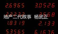 地產(chǎn)二代故事  楊武正臨危受命