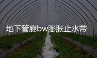 地下管廊bw膨脹止水帶施工方案