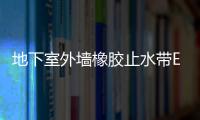 地下室外墻橡膠止水帶EP型320x7無(wú)孔背貼式橡膠止水帶標(biāo)準(zhǔn)