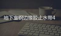 地下室鋼邊橡膠止水帶400x10mm