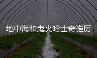 地中海和鬼火哈士奇誰厲害？地中海哈士奇什么意思