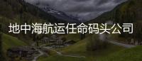 地中海航運任命碼頭公司新CEO