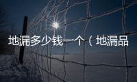 地漏多少錢(qián)一個(gè)（地漏品牌）