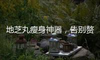 地芝丸瘦身神器，告別贅肉，擁有完美身材！