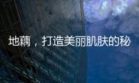 地藕，打造美麗肌膚的秘密武器！