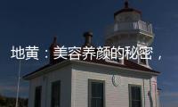 地黃：美容養顏的秘密，煥發肌膚活力！
