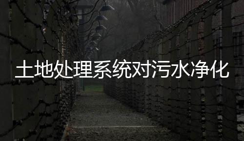 土地處理系統對污水凈化的主要原理