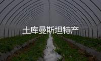 土庫(kù)曼斯坦特產(chǎn)