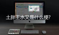 土胖王水又是什么梗?