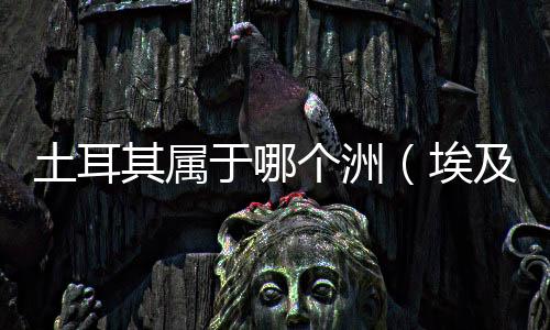 土耳其屬于哪個(gè)洲（埃及屬于哪個(gè)洲）