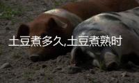 土豆煮多久,土豆煮熟時間大揭秘