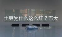 土豆為什么這么紅？五大營養剖析 【綜合】風尚中國網
