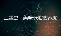 土鱉蟲：美味低脂的養顏秘籍！