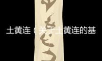 土黃連（關于土黃連的基本情況說明介紹）