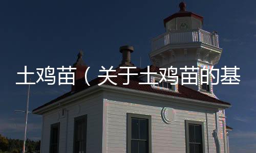 土雞苗（關于土雞苗的基本情況說明介紹）