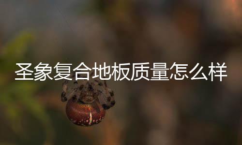 圣象復(fù)合地板質(zhì)量怎么樣（圣象復(fù)合地板）