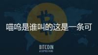 喵嗚是誰叫的這是一條可靠的消息嗎?