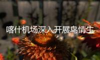 喀什機場深入開展鳥情生態環境綜合治理