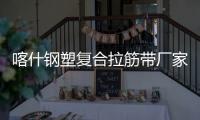 喀什鋼塑復合拉筋帶廠家采購供應