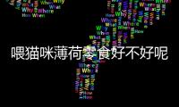 喂貓咪薄荷零食好不好呢？給貓吃貓薄荷有什么害處
