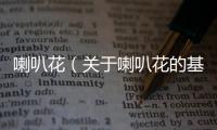 喇叭花（關(guān)于喇叭花的基本情況說(shuō)明介紹）