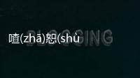 喳(zhā)恕(shù)刑(xínɡ)睫(jié)這件事可以這樣理解嗎?