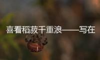 喜看稻菽千重浪——寫在秋糧豐收成定局之際