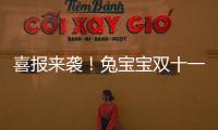 喜報來襲！兔寶寶雙十一狂歡節活動榮獲“2023中國家居年度營銷優秀案例”