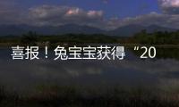 喜報(bào)！兔寶寶獲得“2021中國(guó)房地產(chǎn)供應(yīng)鏈上市公司投資價(jià)值10強(qiáng)”