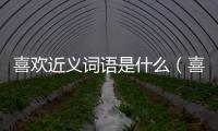 喜歡近義詞語是什么（喜歡近義詞是什么）