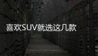 喜歡SUV就選這幾款 空間大動力足 最低十萬
