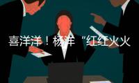 喜洋洋！楊洋“紅紅火火”安靜美男子