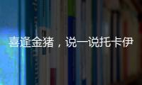 喜逢金豬，說一說托卡伊的野豬巖酒莊