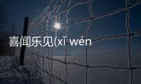 喜聞樂見(xǐ wén lè jiàn)網友會怎么評論?