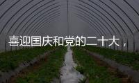 喜迎國慶和黨的二十大，全力保障工作平穩運行