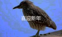 喜迎新年