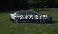 喝什么水對嗓子好
