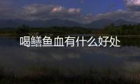 喝鱔魚血有什么好處