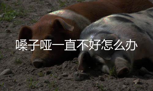 嗓子啞一直不好怎么辦