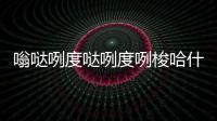 嗡噠咧度噠咧度咧梭哈什么意思（梭哈什么意思）