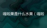 嘎啦果是什么水果（嘎啦果）