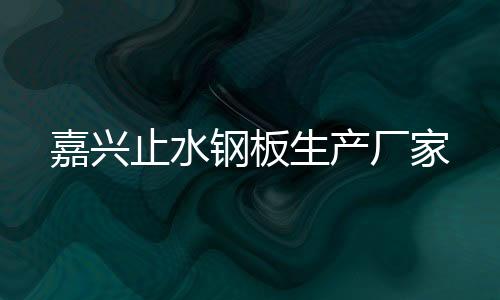 嘉興止水鋼板生產(chǎn)廠家