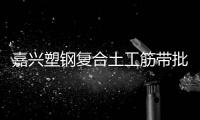 嘉興塑鋼復合土工筋帶批發價格
