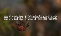 嘉興首位！海寧獲省級獎勵！