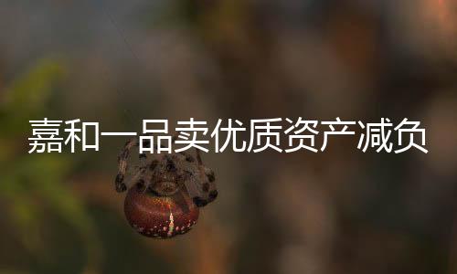嘉和一品賣優質資產減負 意在甩掉財務包袱
