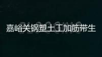 嘉峪關鋼塑土工加筋帶生產廠家
