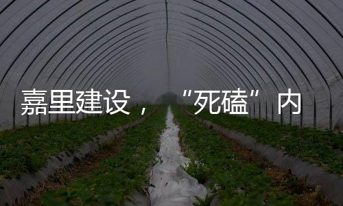 嘉里建設， “死磕”內地